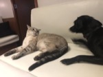 resIMG_20190624_104926_5632.JPG